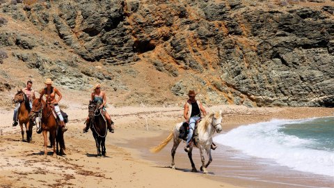 Mykonos Horse Riding Tour Greece Ιππασια Αλογα.jpg9