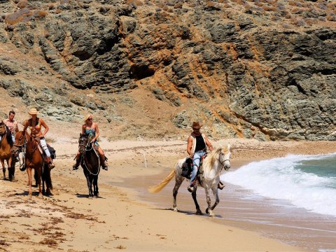 Mykonos Horse Riding Tour Greece Ιππασια Αλογα.jpg9