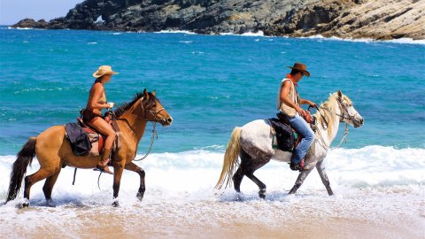 Mykonos Horse Riding