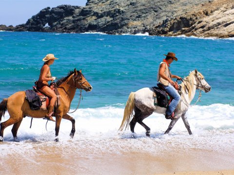 Mykonos Horse Riding Tour Greece Ιππασια Αλογα.jpg8