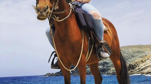 Mykonos Horse Riding Tour Greece Ιππασια Αλογα.jpg6
