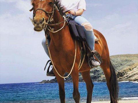 Mykonos Horse Riding Tour Greece Ιππασια Αλογα.jpg6