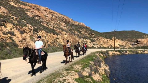 Mykonos Horse Riding Tour Greece Ιππασια Αλογα.jpg5
