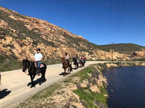 Mykonos Horse Riding Tour Greece Ιππασια Αλογα.jpg5