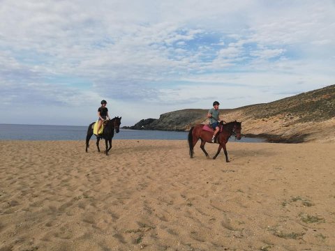 Mykonos Horse Riding Tour Greece Ιππασια Αλογα.jpg4