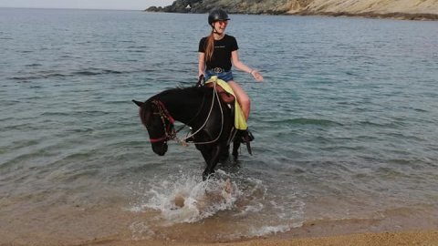Mykonos Horse Riding Tour Greece Ιππασια Αλογα.jpg3