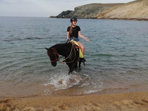 Mykonos Horse Riding Tour Greece Ιππασια Αλογα.jpg3