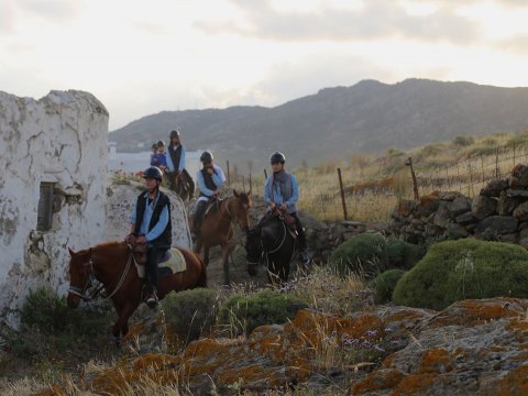Mykonos Horse Riding Tour Greece Ιππασια Αλογα.jpg2