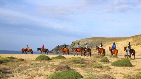 Mykonos Horse Riding Tour Greece Ιππασια Αλογα