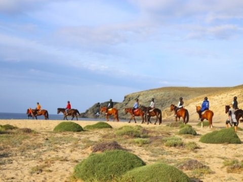 Mykonos Horse Riding Tour Greece Ιππασια Αλογα