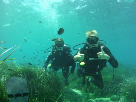 Zakynthos Scuba Diving Zante Center Greece Καταδύσεις blue reef.jpg11