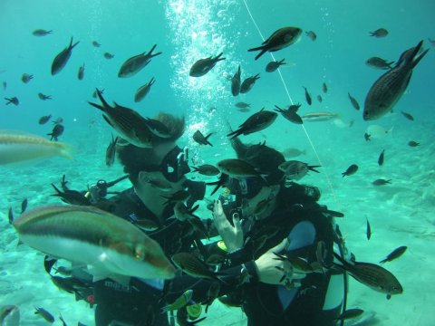 Zakynthos Scuba Diving Zante Center Greece Καταδύσεις blue reef.jpg10