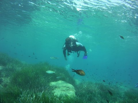 Zakynthos Scuba Diving Zante Center Greece Καταδύσεις blue reef.jpg8