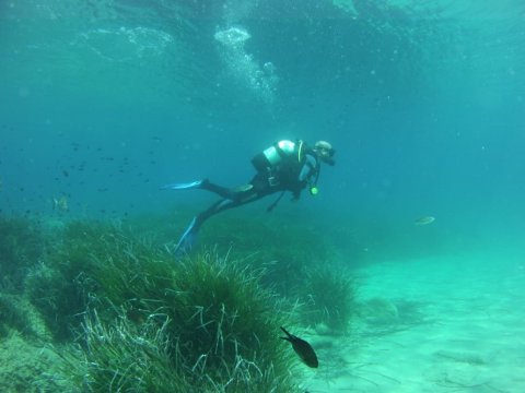 Zakynthos Scuba Diving Zante Center Greece Καταδύσεις blue reef.jpg7