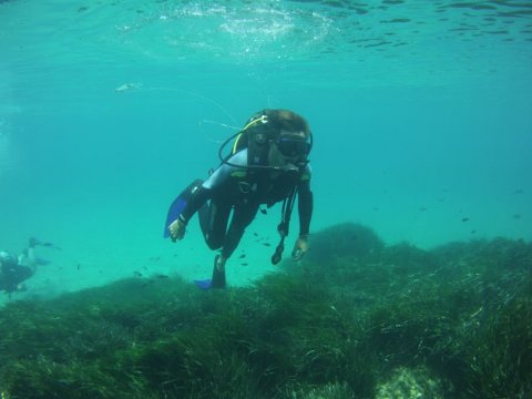 Zakynthos Scuba Diving Zante Center Greece Καταδύσεις blue reef.jpg5