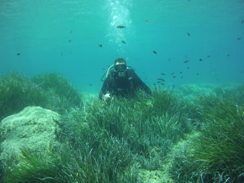 Zakynthos Scuba Diving Zante Center Greece Καταδύσεις blue reef.jpg4