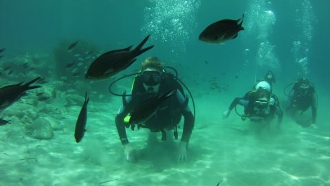 Try Scuba Diving Zante