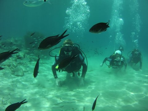 Zakynthos Scuba Diving Zante Center Greece Καταδύσεις blue reef.jpg2