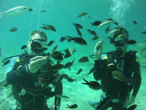 Zakynthos Scuba Diving Zante Center Greece Καταδύσεις blue reef