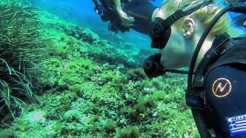 Discover Scuba Diving Thassos Popeye Greece center καταδυσεις.jpg12