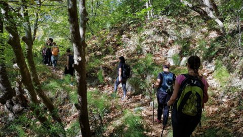 Hiking Kounoupitsa waterfall Pozar thermal springs Greece Green Oliver Πεζοπορια (8)