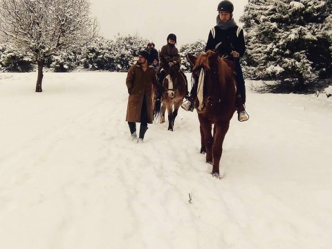 horse Riding Papigo Zagori Greece Zagorochoria pegasus ιππασια (3)