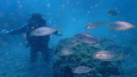Alonissos scuba diving center discover καταδυσεις Greece.jpg6