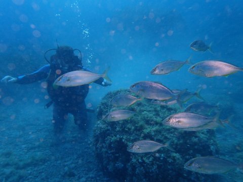 Alonissos scuba diving center discover καταδυσεις Greece.jpg6
