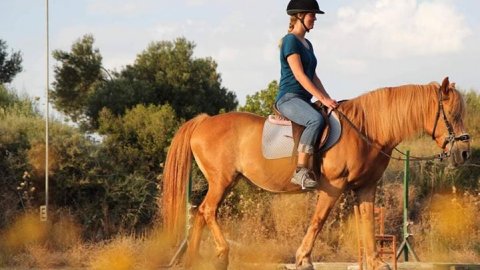 horse riding molyvos lesvos greece ιππασια αλογα.jpg12