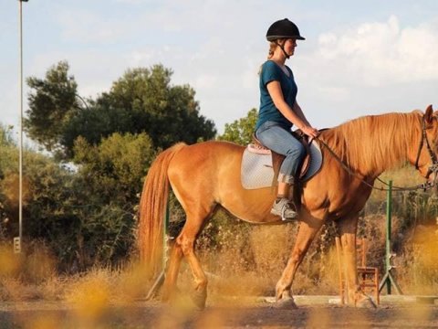 horse riding molyvos lesvos greece ιππασια αλογα.jpg12