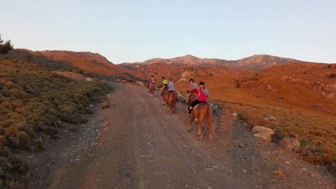 horse riding molyvos lesvos greece ιππασια αλογα.jpg11