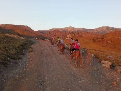 horse riding molyvos lesvos greece ιππασια αλογα.jpg11