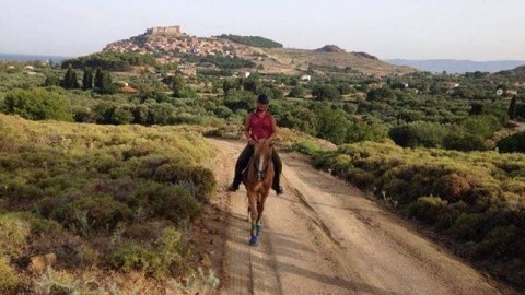 horse riding molyvos lesvos greece ιππασια αλογα.jpg10