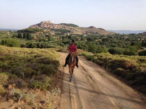 horse riding molyvos lesvos greece ιππασια αλογα.jpg10