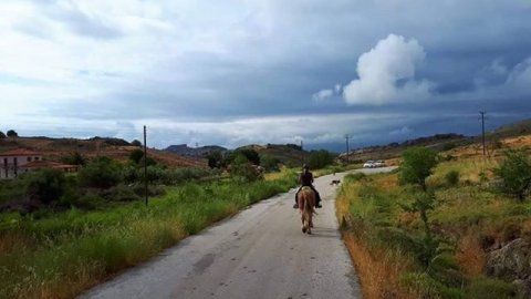 horse riding molyvos lesvos greece ιππασια αλογα.jpg9