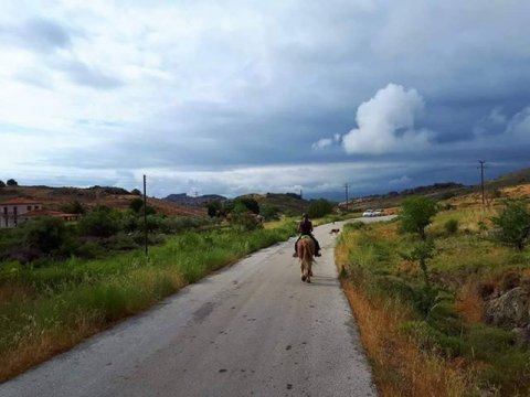 horse riding molyvos lesvos greece ιππασια αλογα.jpg9