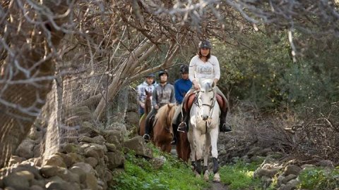 horse riding molyvos lesvos greece ιππασια αλογα.jpg8