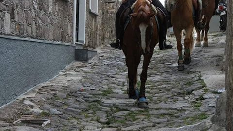 horse riding molyvos lesvos greece ιππασια αλογα.jpg7