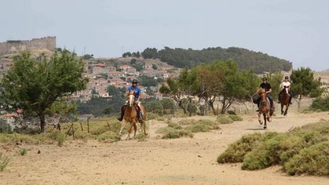 horse riding molyvos lesvos greece ιππασια αλογα.jpg5
