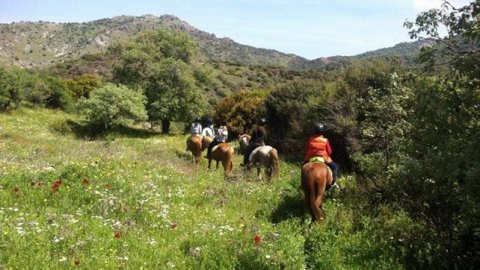 horse riding molyvos lesvos greece ιππασια αλογα.jpg4