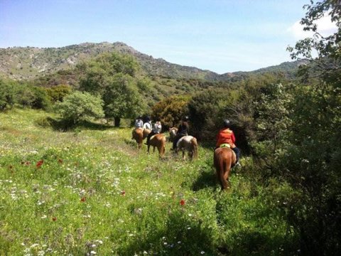 horse riding molyvos lesvos greece ιππασια αλογα.jpg4