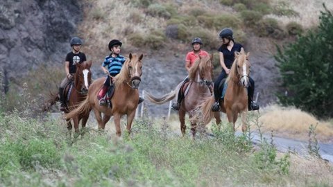 horse riding molyvos lesvos greece ιππασια αλογα.jpg3