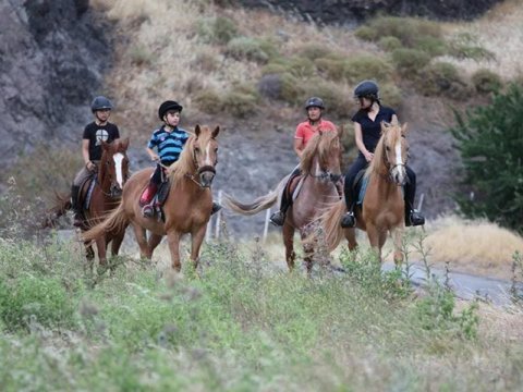 horse riding molyvos lesvos greece ιππασια αλογα.jpg3