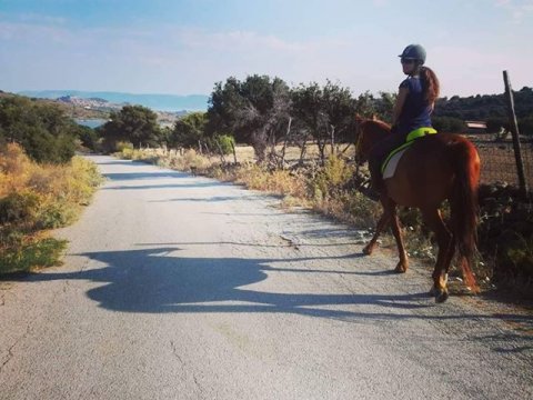 horse riding molyvos lesvos greece ιππασια αλογα.jpg2