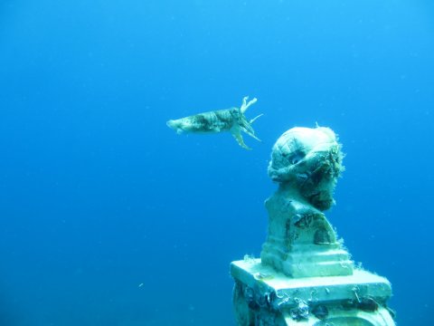 diving-center-samos-scuba-dive-greece-kerveli-καταδυσεις.jpg5