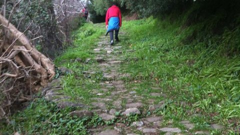 Hiking Waterfalls Walk Samos