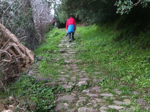 hiking-samos-greece-waterfalls-trekking.jpg5