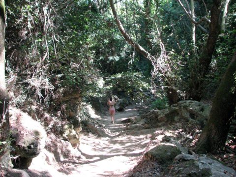 hiking-samos-greece-waterfalls-trekking.jpg3