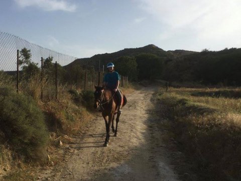 horse-riding-kos-greece-ιππασια-kardamena-αλογα.jpg11