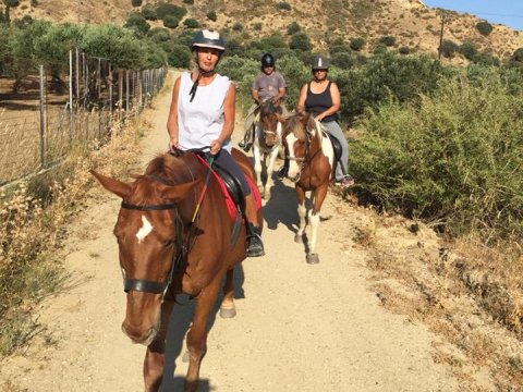 horse-riding-kos-greece-ιππασια-kardamena-αλογα.jpg10